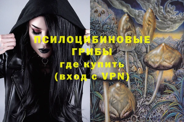 хмурый Балахна