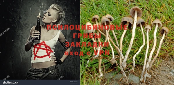хмурый Балахна